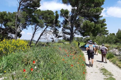 Balade à Sigean, dans l'Aude