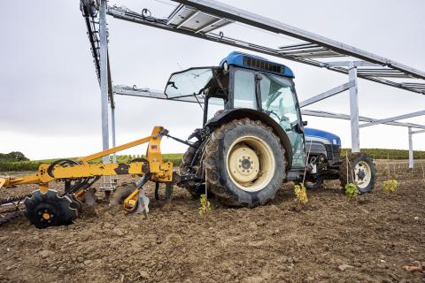 INAUGURATION FERME AGRIVOLTAIQUE DOMAINE DE RIVALS AUDE