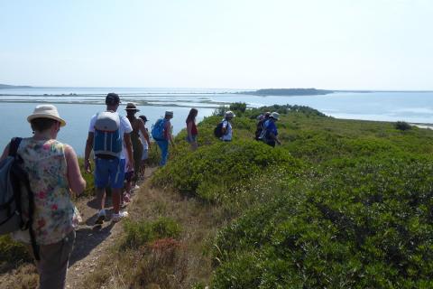 Balade sur l'île de l'Aute dans l'Aude