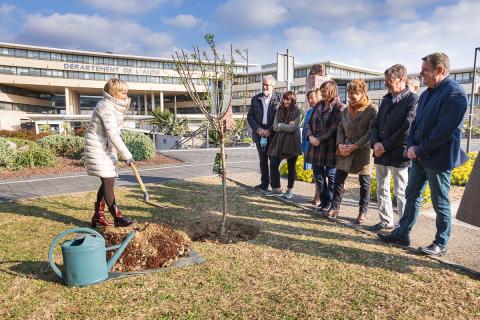 JOURNEE DU 8 MARS - PLANTATION AMANDIER 