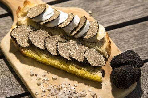 Truffe noire de la marque Pays Cathare