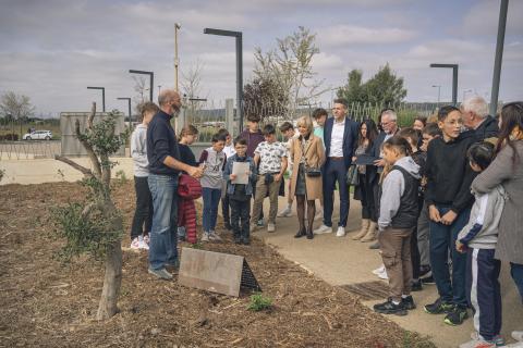 Végétalisation du collège rosa parks à Lézignan dans l'aude.