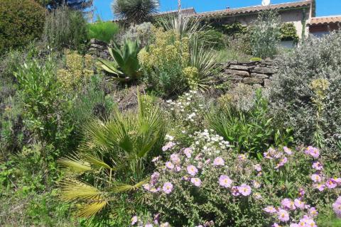 1er prix catégorie jardin Aude Fleurie 2022 pour Yvon Blaize