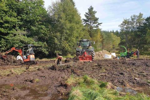 chantier de restauration de la tourbière des Moussels