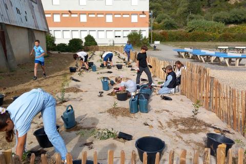 Opération de plantation au collège Delteil de Limoux