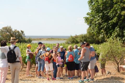 Balade Vigneronne Gruissan