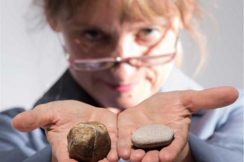 Caracol Théâtre les petits cailloux