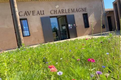 CAVEAU DU DOMAINE DU LYCEE CHARLEMAGNE