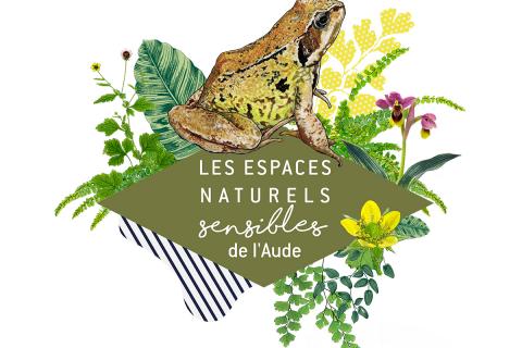 ENS-grenouille