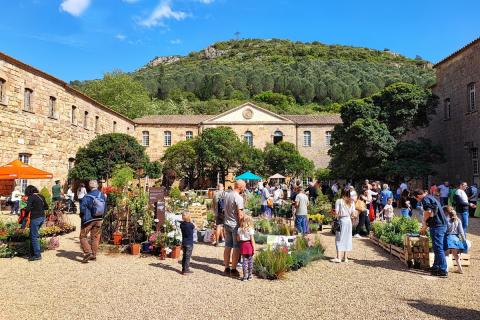 FETE DES PLANTES ET DES MASSIFS