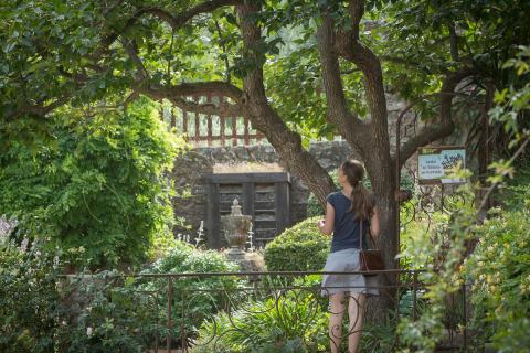 JARDINS-FONTFROIDE