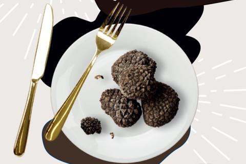 NUIT DE LA TRUFFE 2026