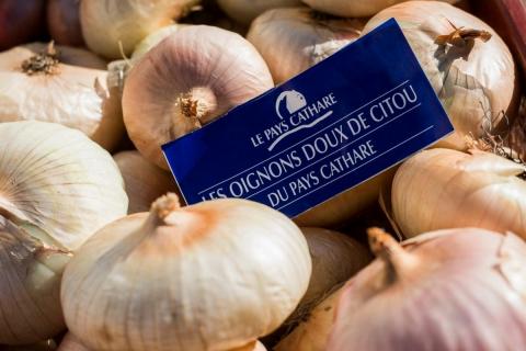 Oignon doux Citou Pays cathare