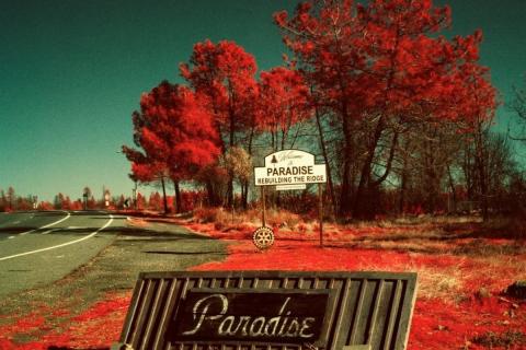 Paradise Maxime Riché