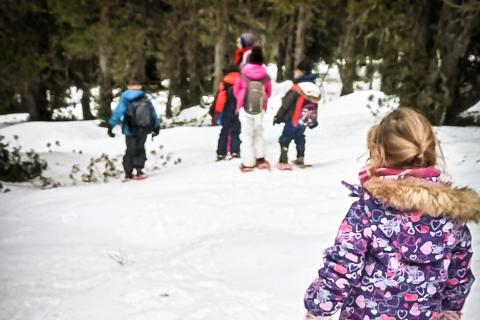 Premières traces - Raquettes (3)