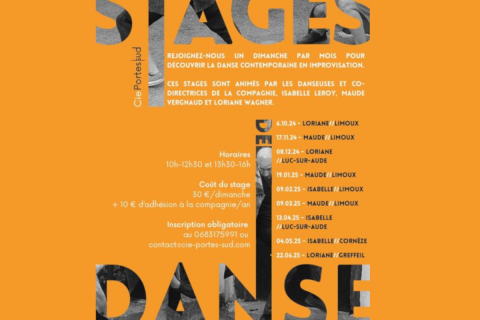 Stages de danse