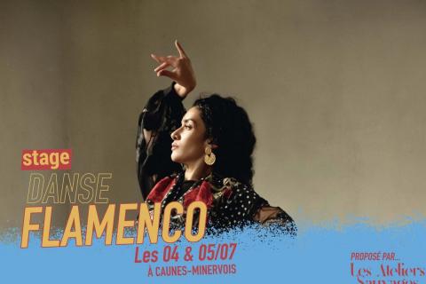 Stage Danse Flamenco - Les ateliers sauvages