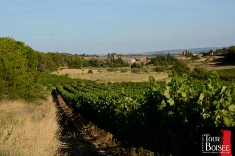 DOMAINE DE LA TOUR BOISEE