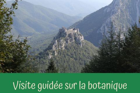visite guidée botanique
