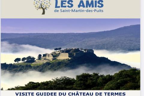 les_amis_de_saint_martin_des_puits