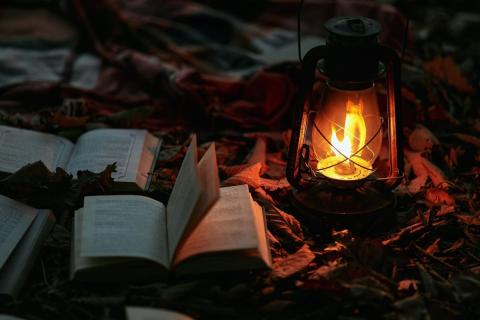 livres dans feuille lampe feu - OLEG MOROZ (unsplash)