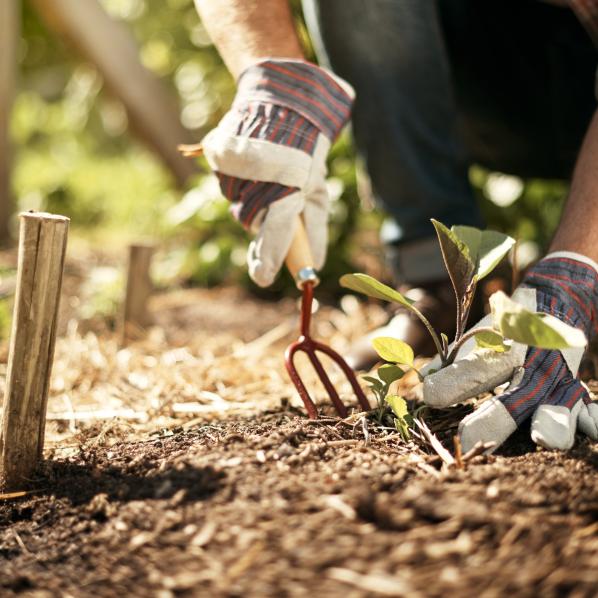 Jardinier en train de travailler la terre