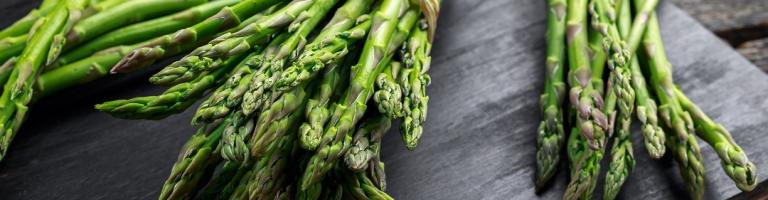 ASPERGE PAYS CATHARE