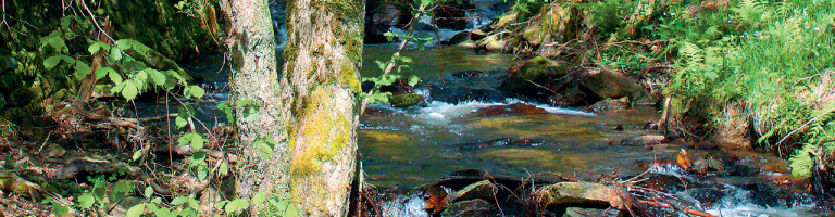 Cascade de Cubserviès, dans le Haut-Cabardès en Montagne Noire