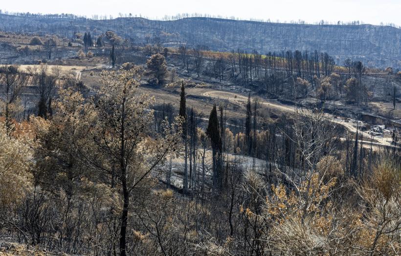Le méga feu des Corbières a ravagé 11 000 hectares, sur une superficie de 17 000 hectares.
