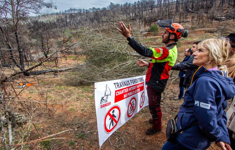 La présidente Hélène Sandragné est venue voir les travaux de sécurisation et de bûcheronnage dans les Corbières, suite au méga feu d'août 2025.