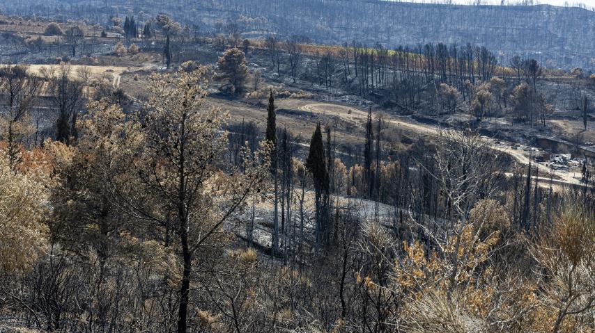 Le méga feu des Corbières a ravagé 11 000 hectares, sur une superficie de 17 000 hectares.