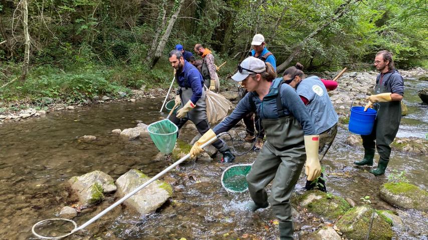 Mobilisation d'une trentaine de salariés de la Fédération de l'Aude pour la pêche et la protection des milieux aquatiques et de bénévoles pour mener un inventaire piscicole à la recherche du Chabot commun.