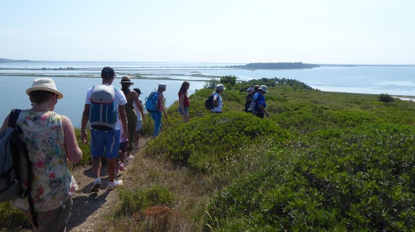 Balade sur l'île de l'Aute dans l'Aude