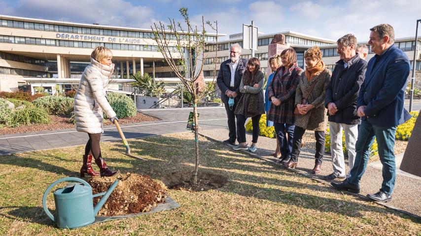 JOURNEE DU 8 MARS - PLANTATION AMANDIER 