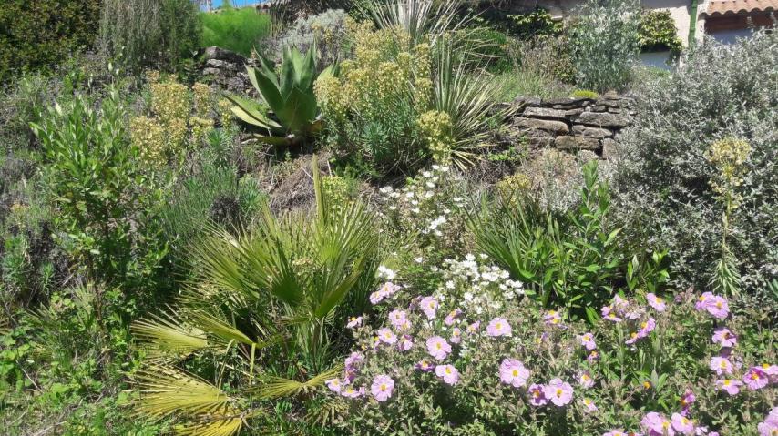 1er prix catégorie jardin Aude Fleurie 2022 pour Yvon Blaize