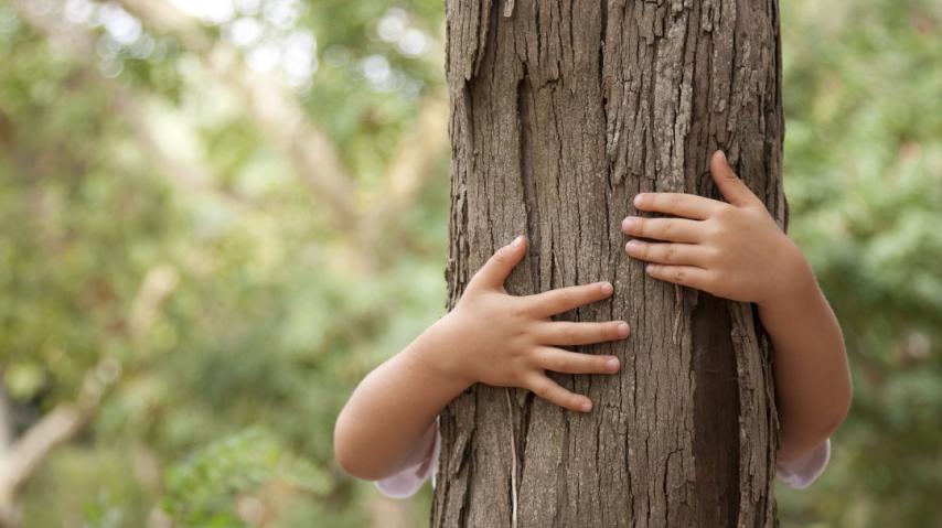 BRAS D'ENFANT SERRANT UN TRONC D'ARBRE