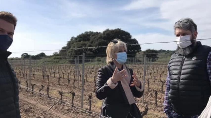 La présidente Hélène Sandragné à la rencontre des viticulteurs et agriculteurs sinistrés par l'épisode de gel.