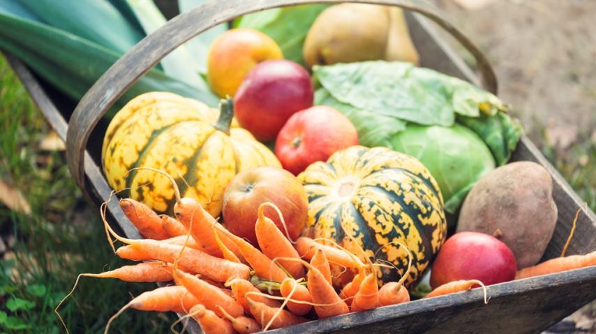 Panier de fruits et légumes frais