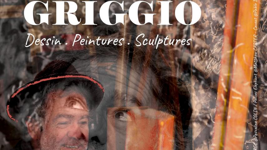 dans l'oeil de Griggio