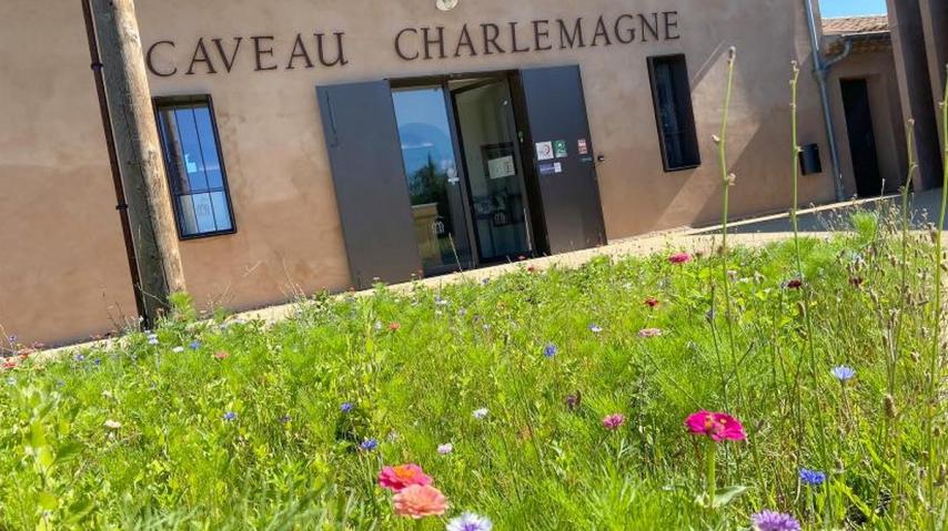 CAVEAU DU DOMAINE DU LYCEE CHARLEMAGNE