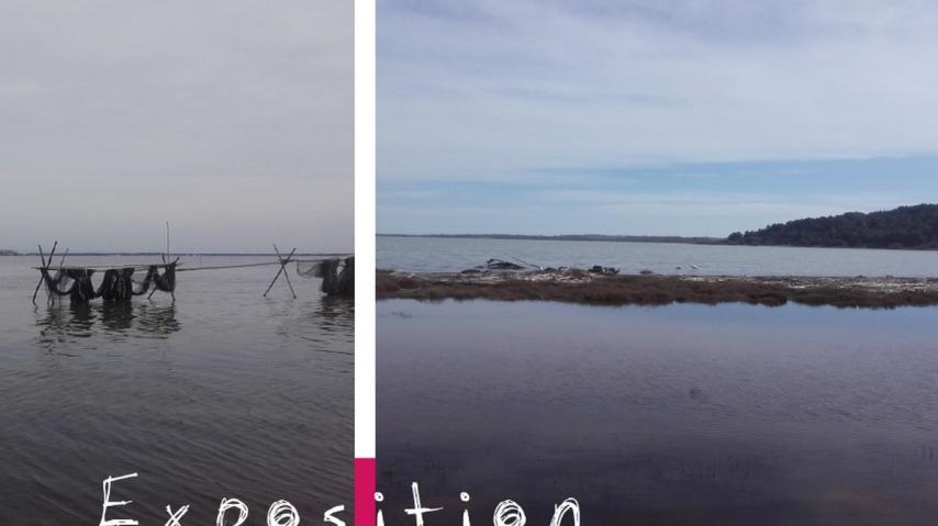 EXPO LES PAYSAGES LAGUNAIRES