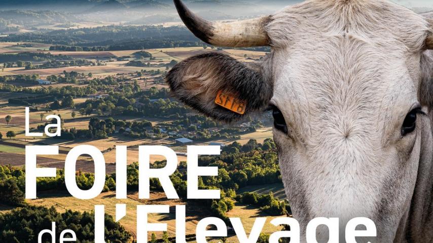 FOIRE DÉPARTEMENTALE DE L'ÉLEVAGE ET DE LA RURALITÉ