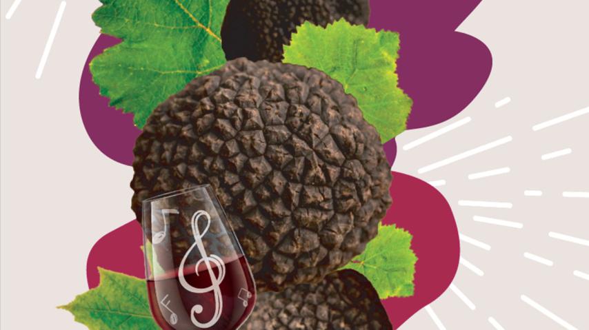 Les Ampélofolies du Cabardès