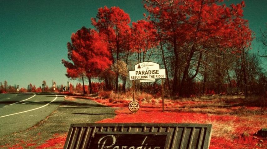 Paradise Maxime Riché