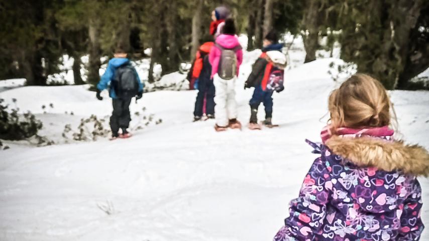 Premières traces - Raquettes (3)