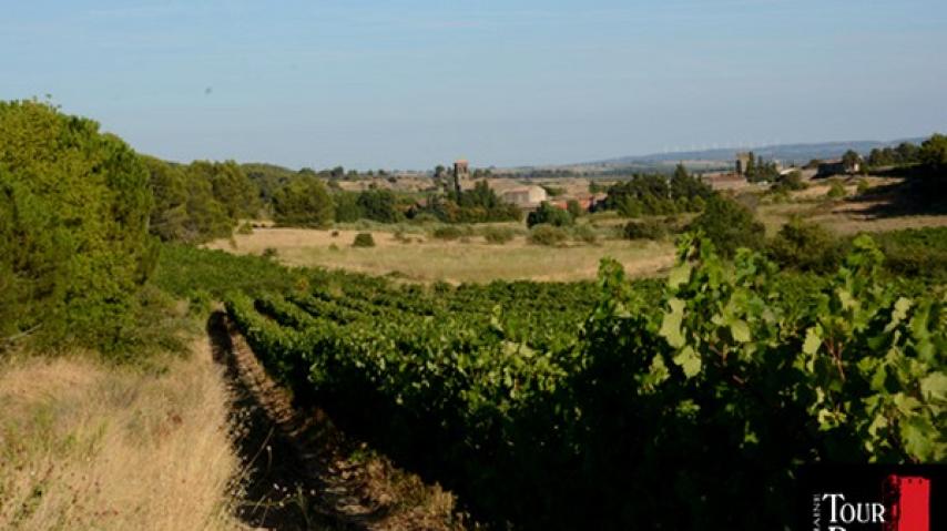 DOMAINE DE LA TOUR BOISEE