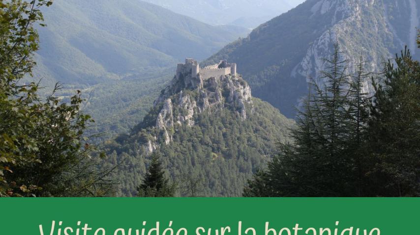 visite guidée botanique