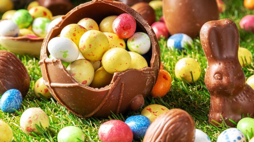 chasse aux oeufs