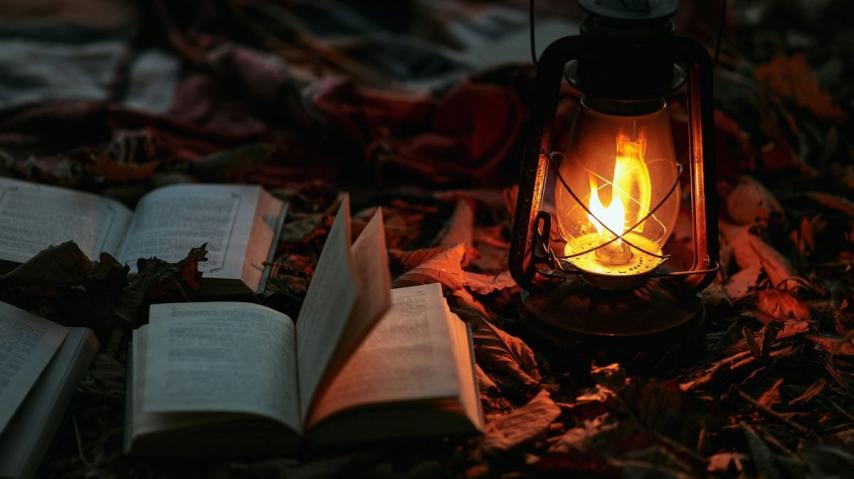livres dans feuille lampe feu - OLEG MOROZ (unsplash)
