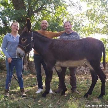 femme avec une anesse, asinerie du rivage dans l'Aude